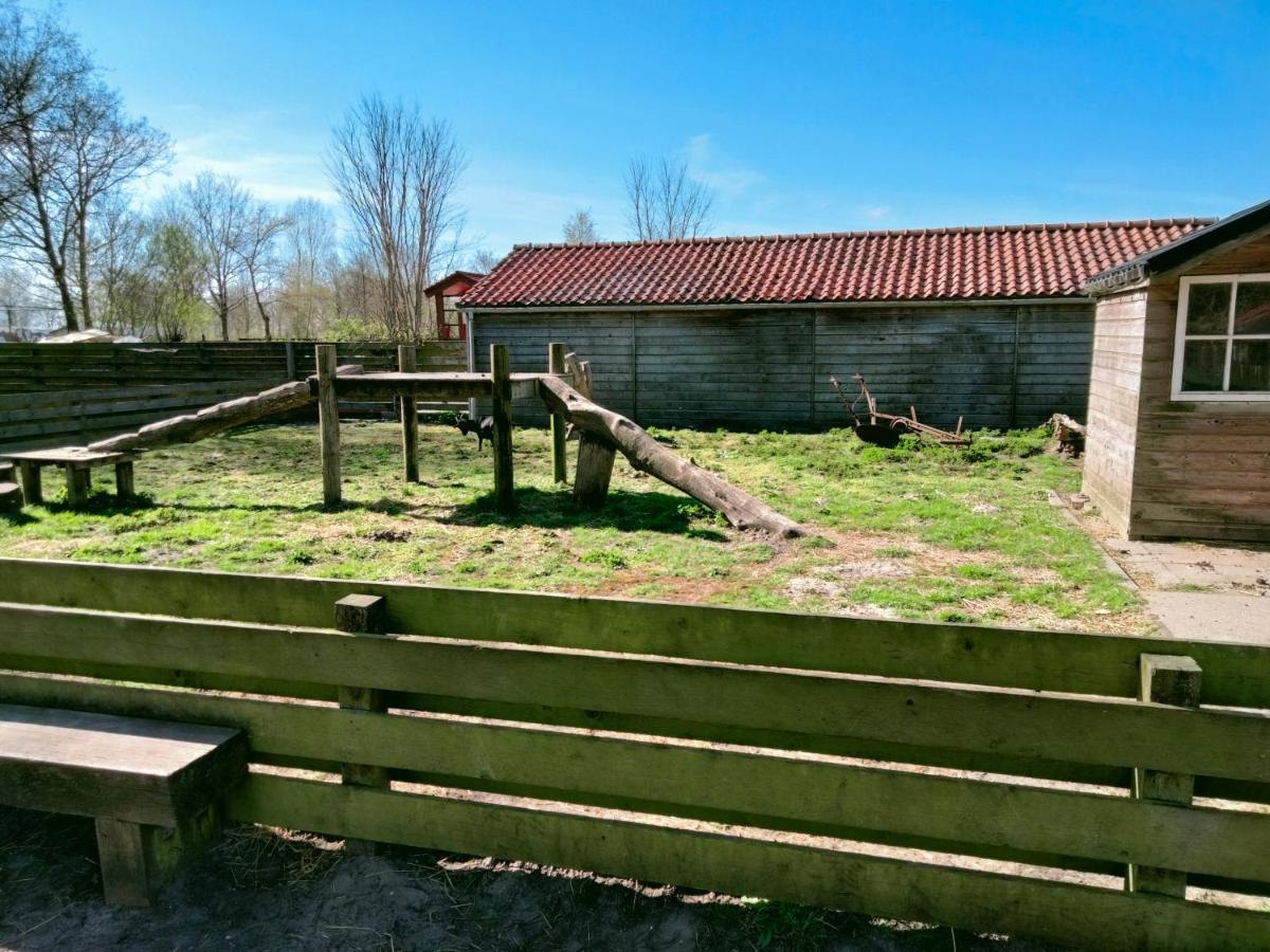 Bj Chalets - Robbengat 68 - Gezellige Chalet Op Vakantiepark Lauwersoog! Vroege Incheck! Eksteriør bilde