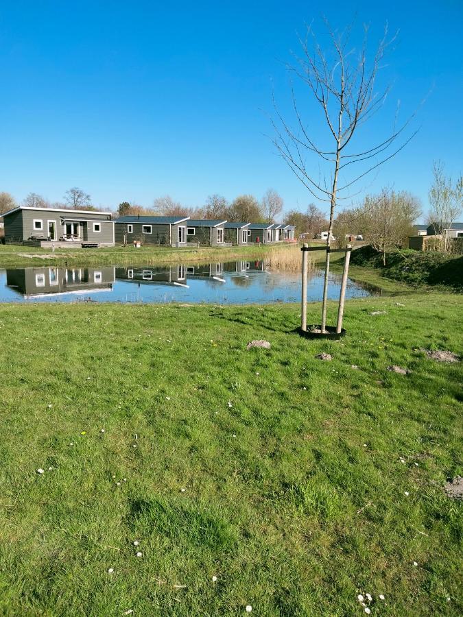 Bj Chalets - Robbengat 68 - Gezellige Chalet Op Vakantiepark Lauwersoog! Vroege Incheck! Eksteriør bilde